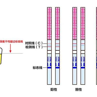 讲真,要数杠杠,看红线颜色深浅的排卵试纸,真的太过复杂繁琐了.