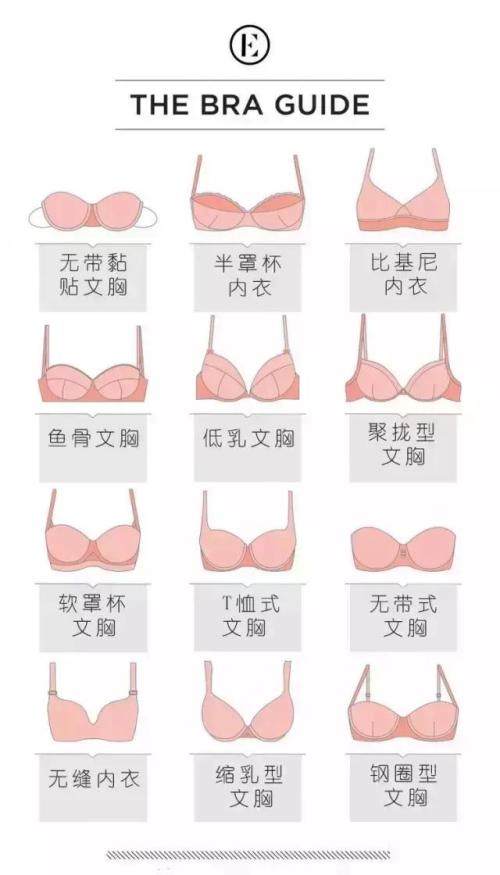 乳房分哪几种图片