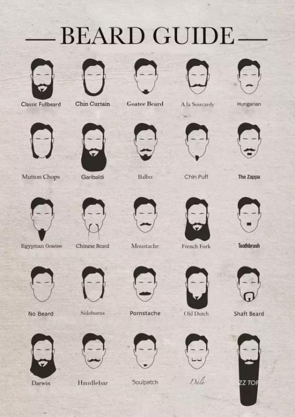 胡子造型名称图片